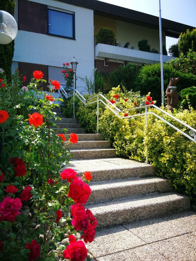 Apartments Gala, Ruhige Lage, Stadtnah Bad Kissingen Exterior photo